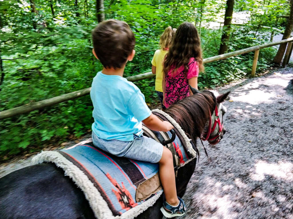 monaco di baviera in estate Estate a Monaco di Baviera con bambini: la Märchenwald di Schongau